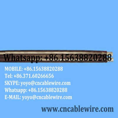 Twocore Parallel Cluster Overhead Cable