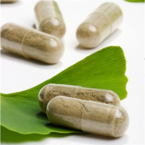 Hot sale Top quality Organic Ginkgo biloba PE 246 USP