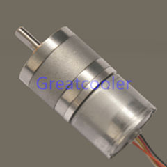 25mm gearbox WBDM2419 Brushless DC Motor