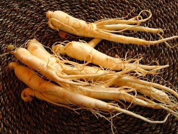 Red GinsengAmerican Ginseng ExtractSiberian Ginseng Extract