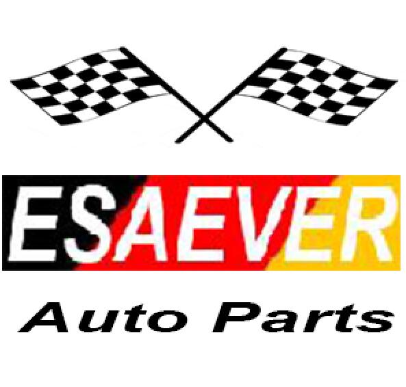 Wenzhou Esaever Auto Parts Co., Ltd.