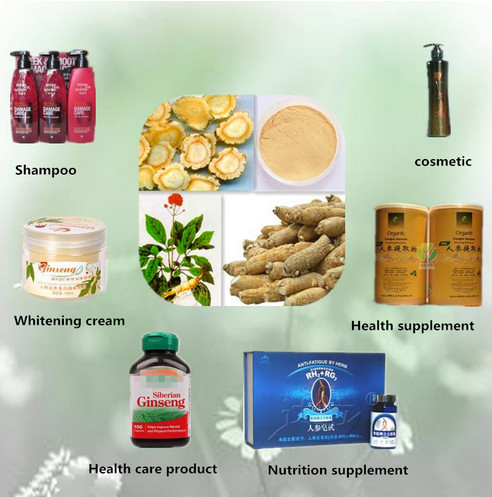 Red GinsengAmerican Ginseng ExtractSiberian Ginseng Extract