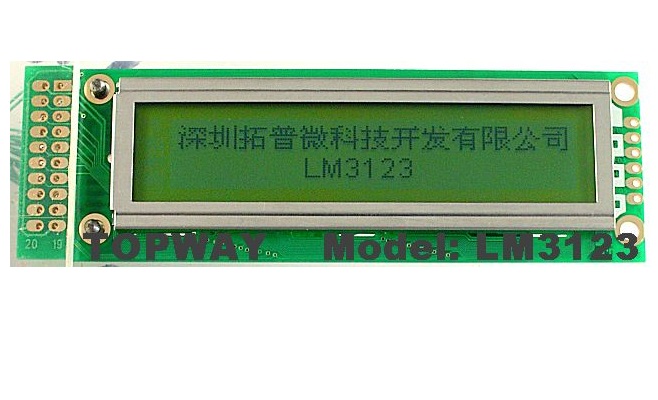 160X32 Graphic LCD Display COB Type LCD Module LM31231