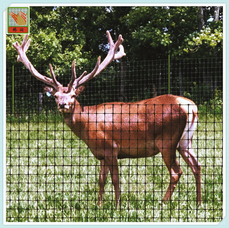 Deer Fence