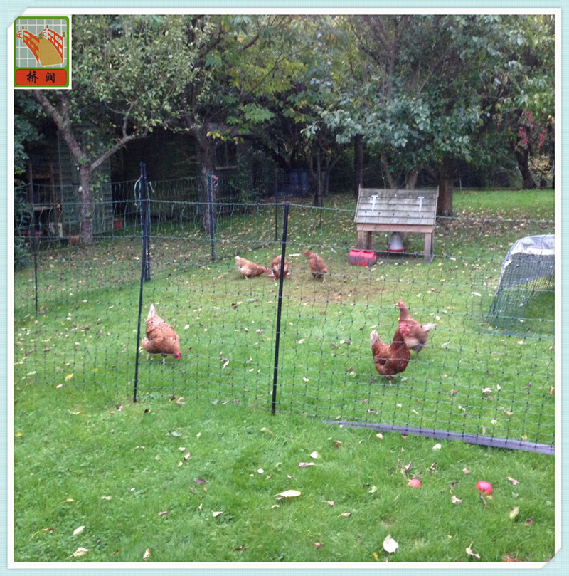 Plastic Poultry nettingchicken mesh