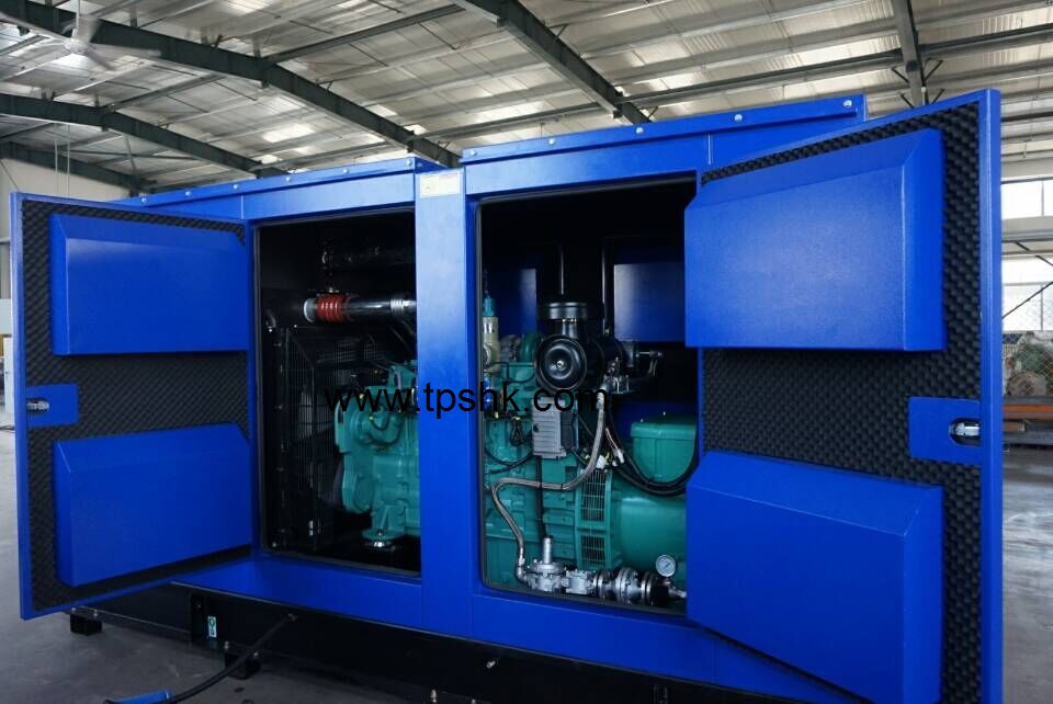 Cummins Gas Generator 100KVA TCM100G