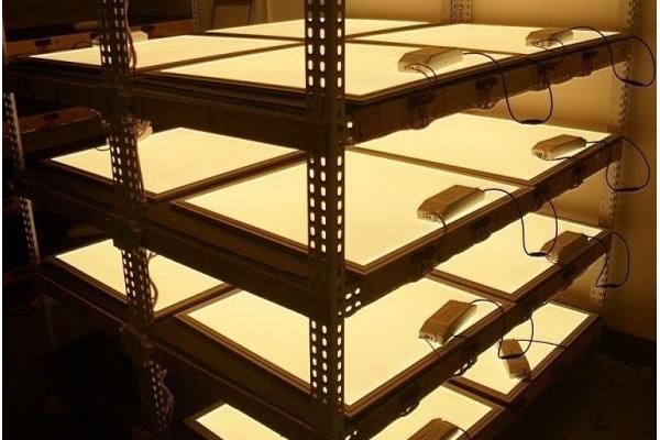 15w 20w 25w 300x300mm led pane lighting