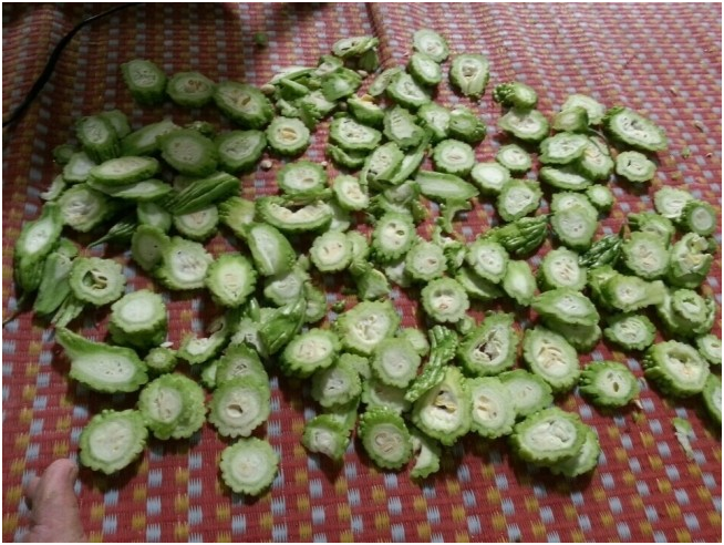 High Quality Dried Momordica Charantia bitter gourd from vietnamese manufacture