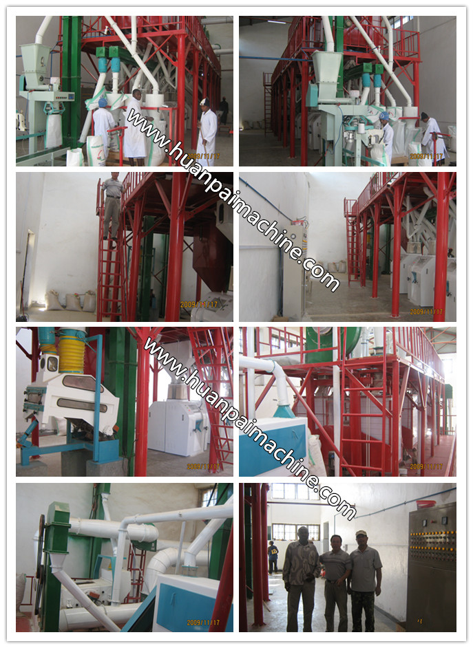 50ton maize flour mill machine