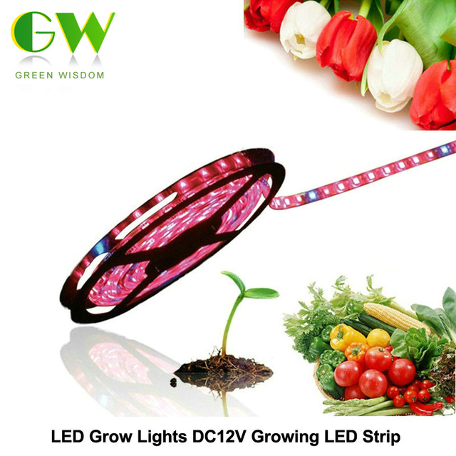 LED Grow Lights DC12V Growing LED Strip 5050 IP20 IP65 IP68 Plant Growth Light for Greenhouse Hydroponic plant 5mlot