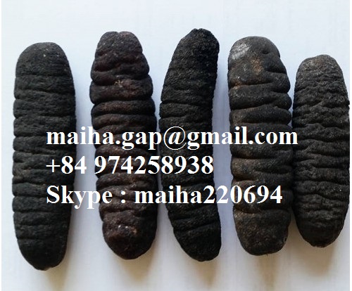 VIETNAMESE DRIED SEA CUCUMBER Dried White Teat Fish Dried Sand Fish