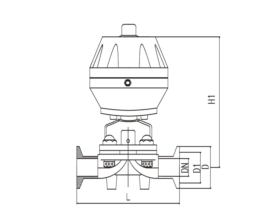 FOOD GRADE PNEUMATIC ACTUATED DIAPHRAGM VALVE