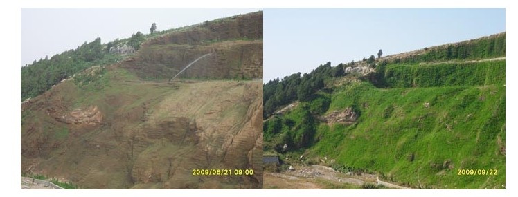 hydraulic planting machine