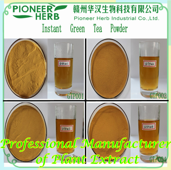 Instant Green Tea Powder green tea extract