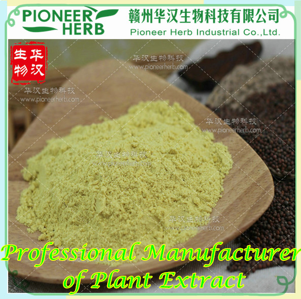 Glucoraphanin Broccoli seed extract Broccoli extract manufacturer