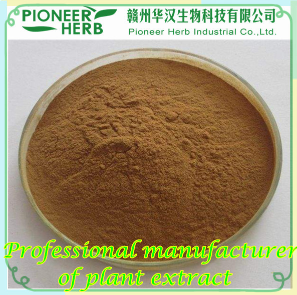 Rose flavones Rose extract manufacturer
