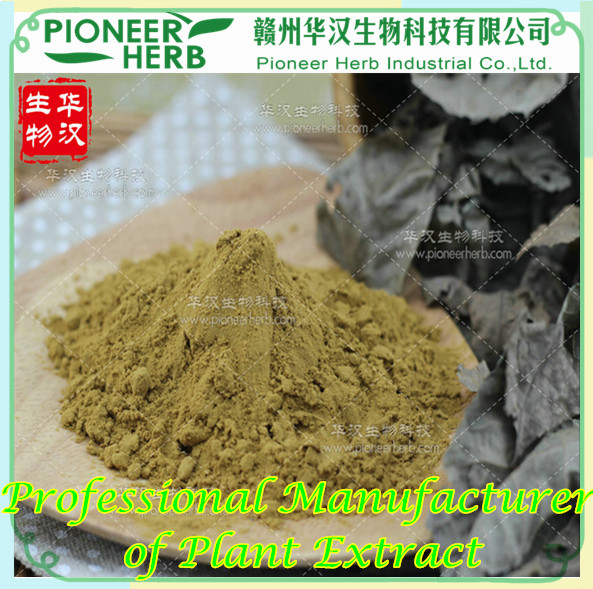 Mulberry Leaf Extract DNJ 1Deoxynojirimycin manufacturer