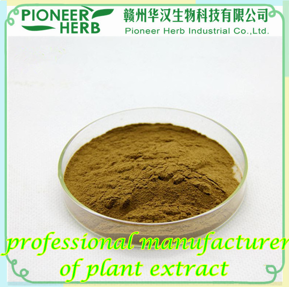 Solomonseal Rhizome Extract Solomonseal polysaccharide manufacturer