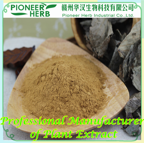 Lotus Leaf extract Nuciferine factory