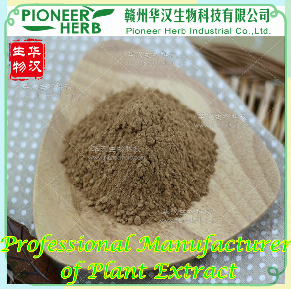 Bitter Melon Extract Momordica saponins manufacturer