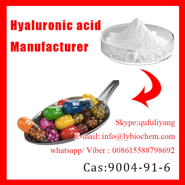 Top Grade Food/Cometic/Injection Grade Hyaluronic Acid