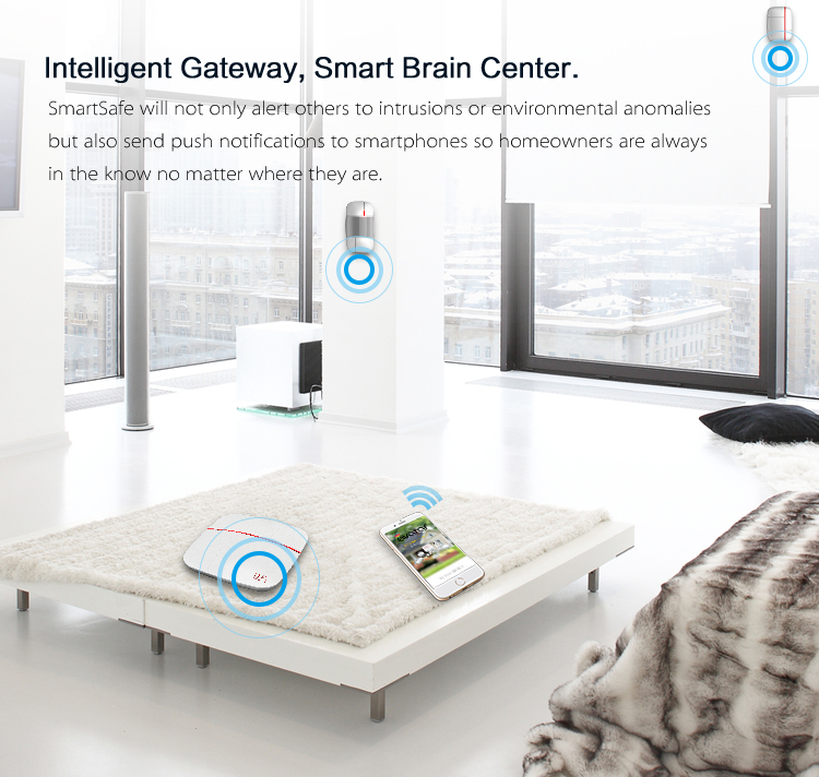 Smart home security system product with app control