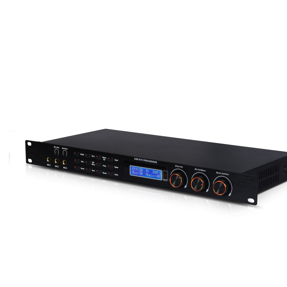 Karaoke Professional Digital Audio Processor