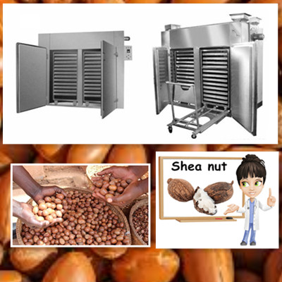 Shea Nut Dryer