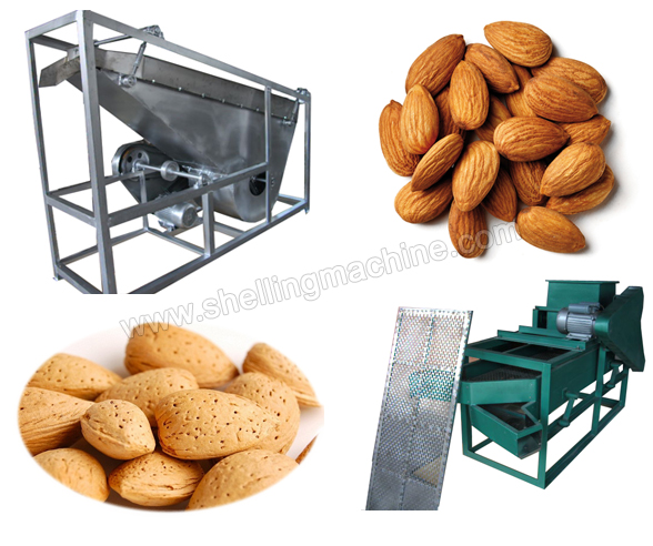 200300 kghMini Almond Shelling Machine