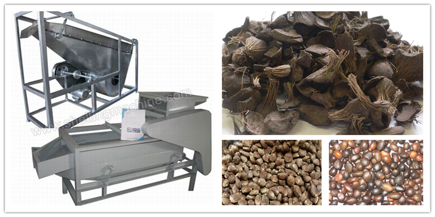 200300kghSmall Unit of Palm Nuts Shelling and Separating Machine