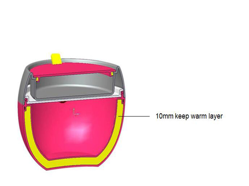Thermal bowlinsulated lunch box with dividers