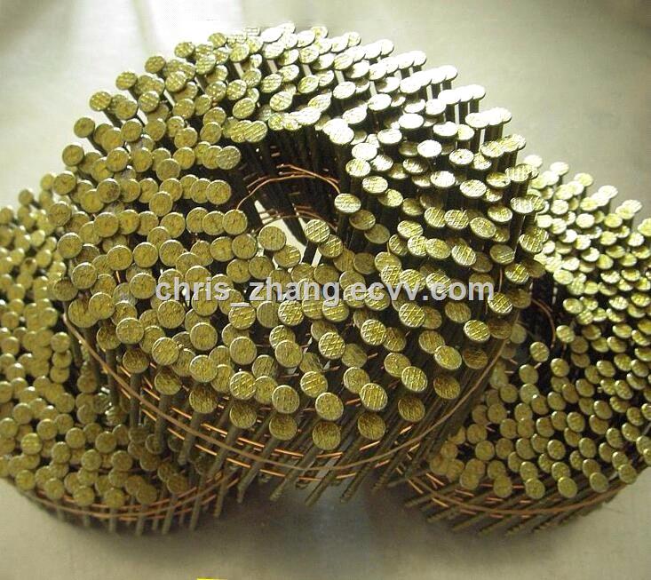 Coil NailPallet Coil NailCoil Nails for Pallets