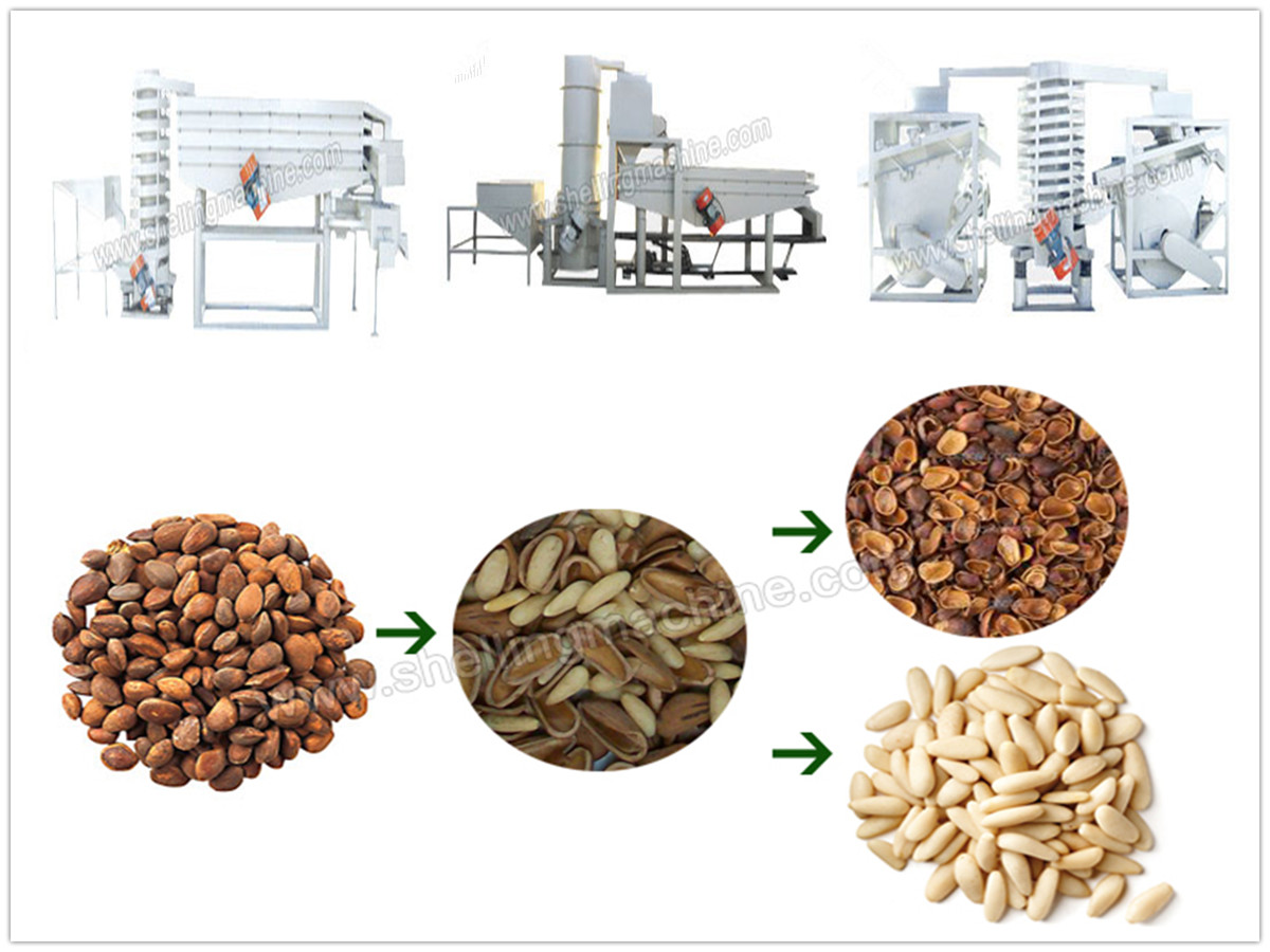 Pine Nuts Cracking and Shelling Machine