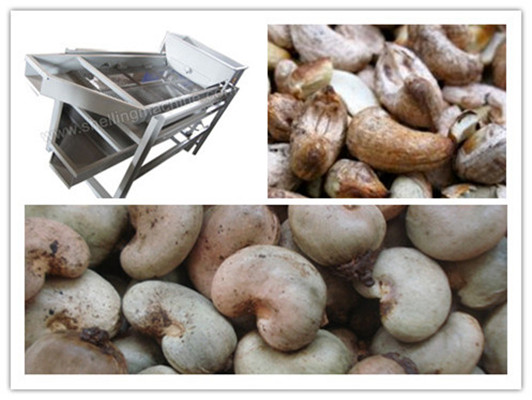 Cashew shell Kernel Separating Machine