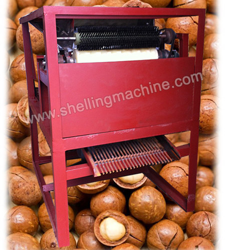 Macadamia Nut Cutting Machine