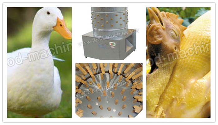 Poultry Hair Removing Machine