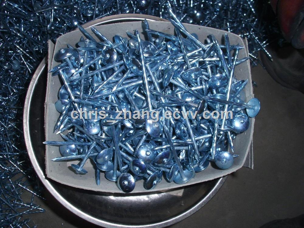 Twisted shank Umbrella Head Galvanised Nails for Roofing