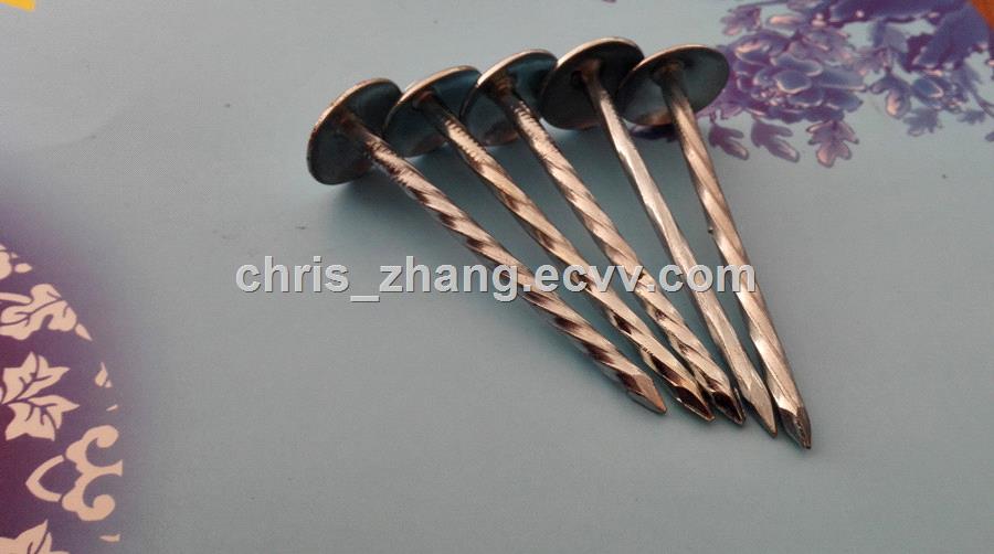 galvanisedzinc plated umbrella roofing nails with rubber washer