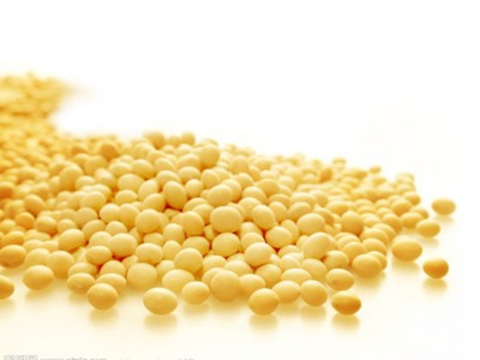 Soybean Extract