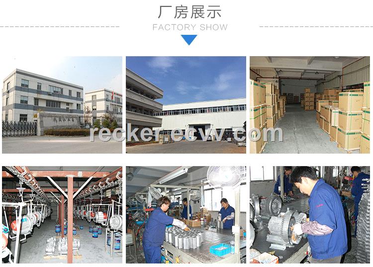 Wellreceived Vortex Air Pump Vacuum Pump TUV SUD Audited Manufacturer