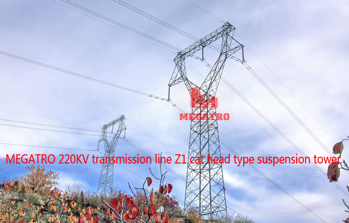 220KV transmission line Z1 cat head type suspension tower