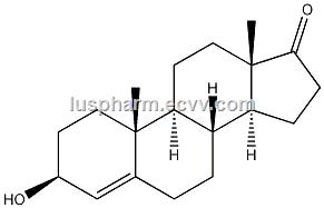 4DHEA CAS NO571448