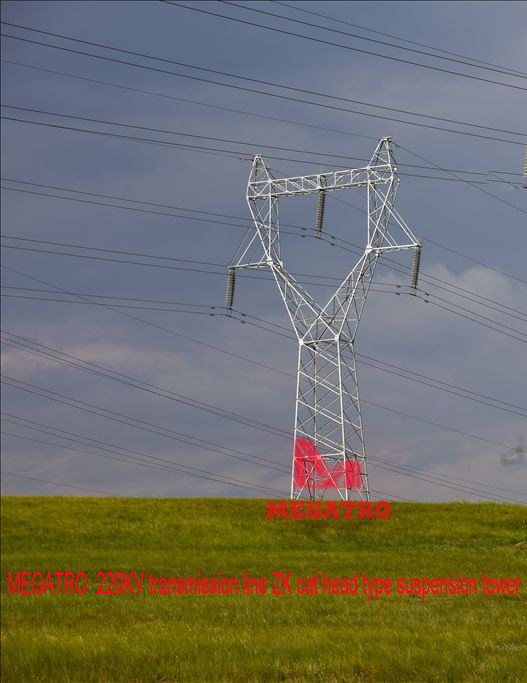 MEGATRO 220KV transmission line ZK cat head type suspension tower