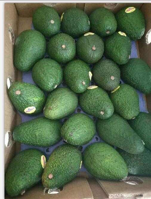Avocado Soybean Unsanponfiables