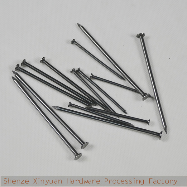 common nails construction common wire nail made in shijiazhuang shenze xinyuan factory