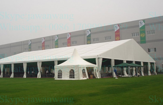 Latest Inovation 50 Feet Geodesic Dome Tent for Events