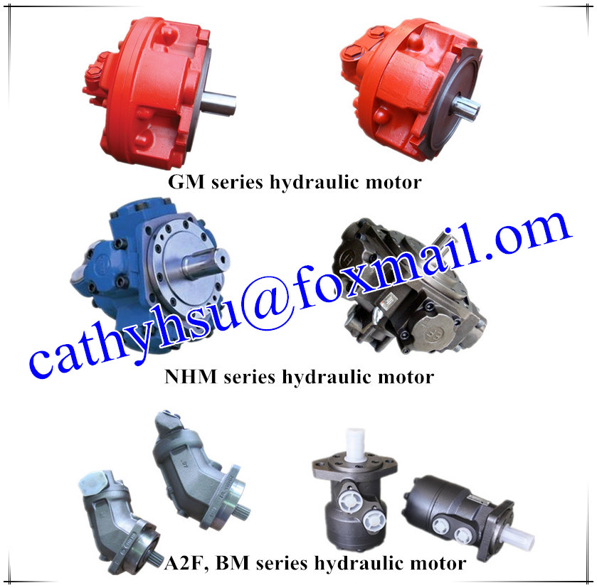 Gm Series Hydraulic Piston Motor GM05 GM1 GM2 GM3 GM5 GM6 GM7 GM9 hydraulic motor