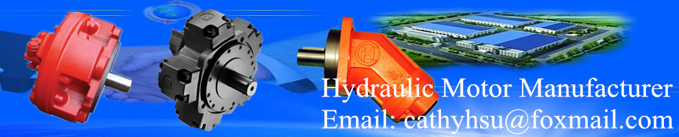 hydraulic motor manufacturer SAI MOTOR