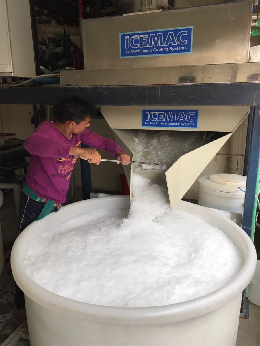 15 TonDay Flake Ice Machine