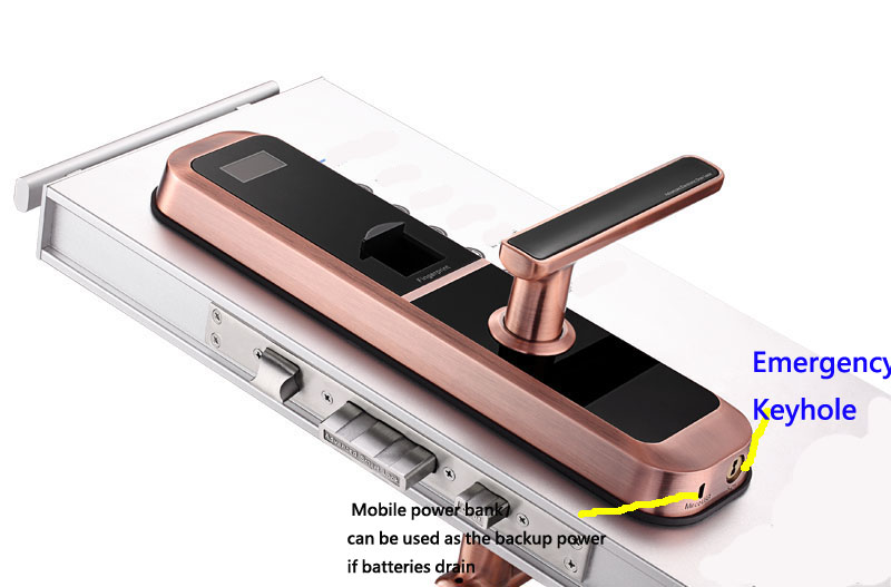 Biometric Fingerprint Door Locks Home Commercial Smart Door Lock with cardkey open